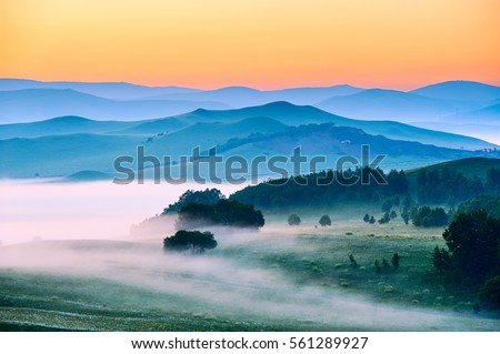 Landscape Meadow
