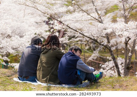 MIYAGI, JAPAN - APRIL13- unidentified family enjoyed sakura-watching festival on 13 APRIL 2015 ( the festival held once a year on April)