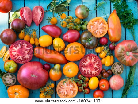 Colorful organic tomatoes. Mix tomatoes background. Several varieties of tomatoes on wooden background top view. Different kind assorted colorful tomatoes.
