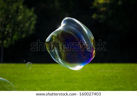 big soap bubble in front of a green lawn