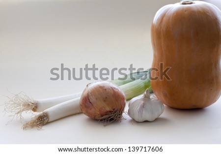 Set vegetables with pumpkin,leeks,onion and garlic