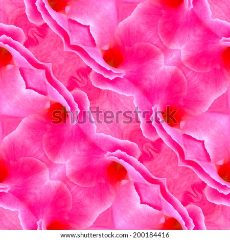 Colorful seamless pattern made from pink flower ( Rose dipladenia flower )  texture background