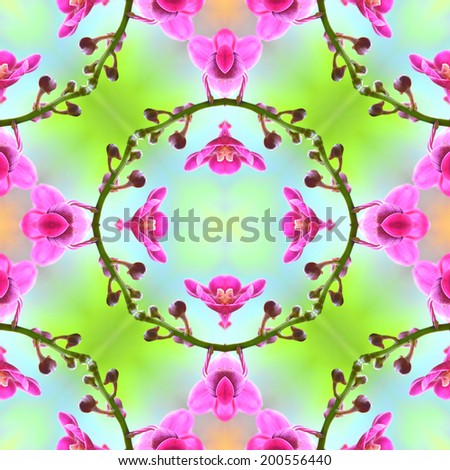 Colorful seamless pattern made from pink flower ( Ascda.Saint Valentine orchid flower ) texture background