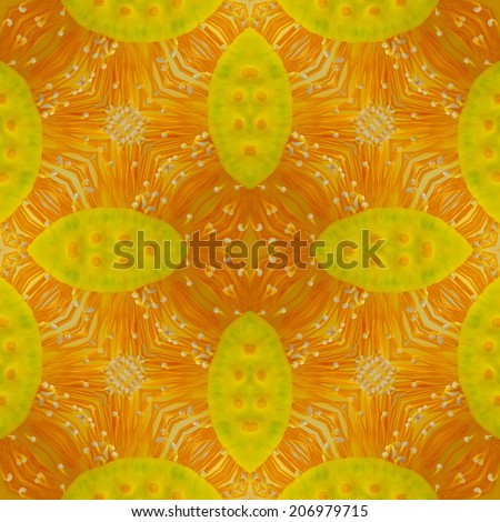 Seamless pattern made from Lotus pollen flower Colorful. Lotus pollen flower