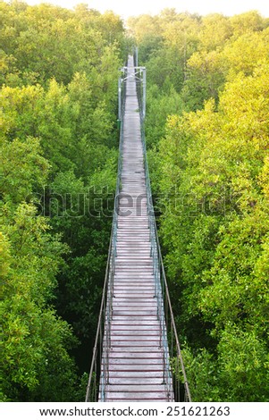 suspension bridge in the Nature Trail, Bangpu Nature Education Center Thailand
