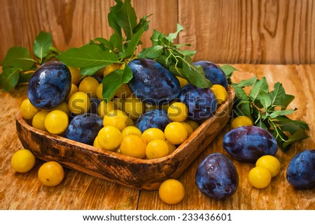Little yellow and big blue plums