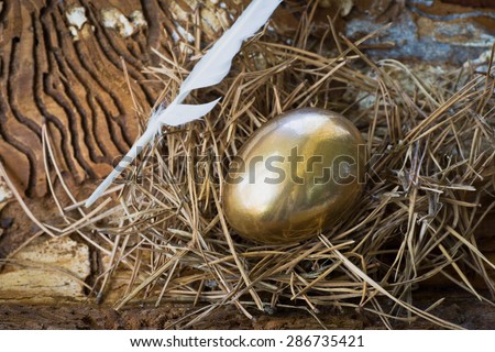 Composition with golden egg in the nest