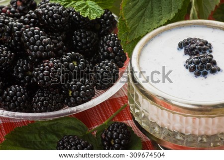 Blackberry smoothie in a cup in retro style