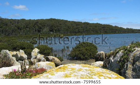 Southern Australian coastline