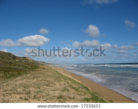 Australian coastline ocean and dunes
