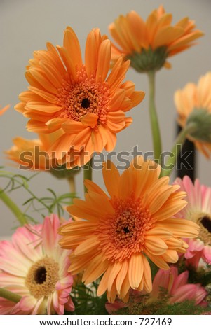 Close-up of flowers in an indoor arrangement