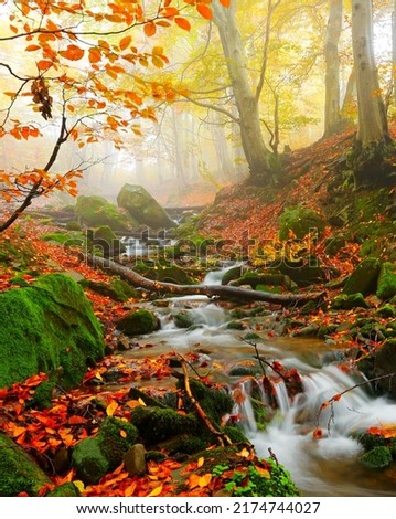 Similar – Image, Stock Photo autumn landscape of mountains and lake in Georgia