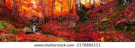 Similar – Image, Stock Photo an autumn river from above