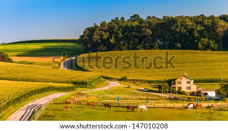 Horse farm and country road on a hill in rural York County, Pennsylvania.