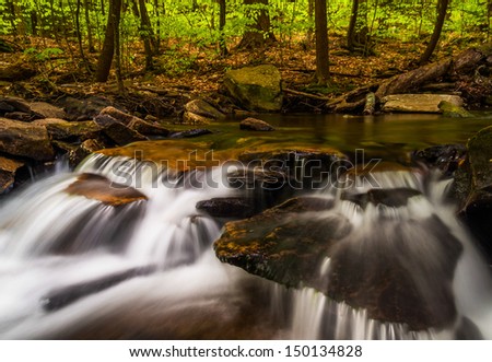Small cascades along Glen Leigh, Ricketts Glen State Park, Pennsylvania.