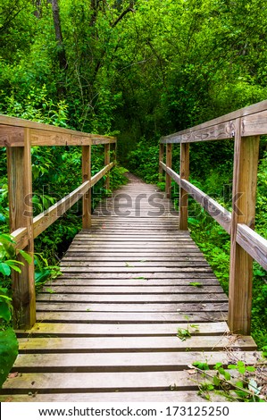Bridge on a trail through the forest at Codorus State Park, Pennsylvania.