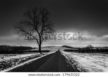 Tree along a road through snow covered farm fields in rural York County, Pennsylvania.