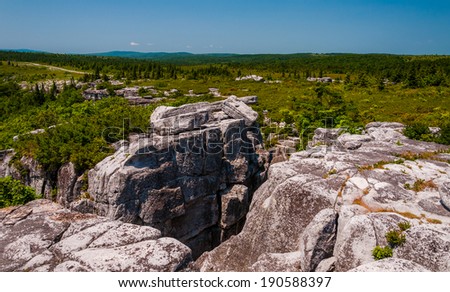 The rugged, rocky terrain of Bear Rocks, in Dolly Sods Wilderness, Monongahela National Forest, West Virginia.