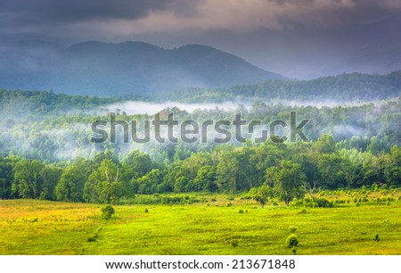 Fog at sunrise, at Cade\'s Cove, in Great Smoky Mountains National Park, Tennessee.