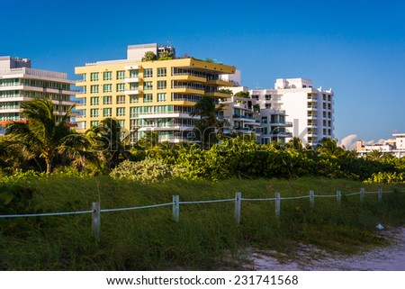 Sand dunes and buildings on the beach in Miami Beach, Florida.