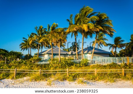 Palm trees and building on the beach in Fort Myers Beach, Florida.
