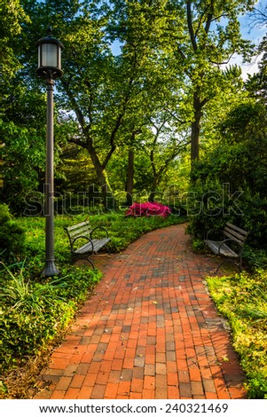 Brick path through a woodland garden at John Hopkins University in Baltimore, Maryland.