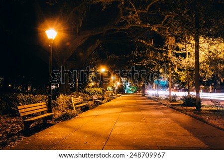 Oak trees and path at night in Forsyth Park, Savannah, Georgia.