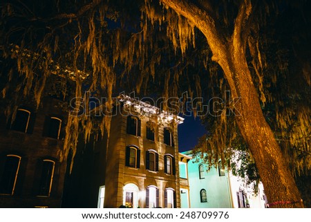 Houses and overhanging oak trees on Drayton Street at night in Savannah, Georgia.
