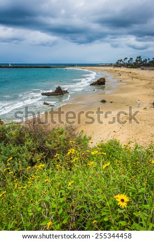 Yellow flowers and view of the Pacific Ocean from Inspiration Point in Corona del Mar, California.