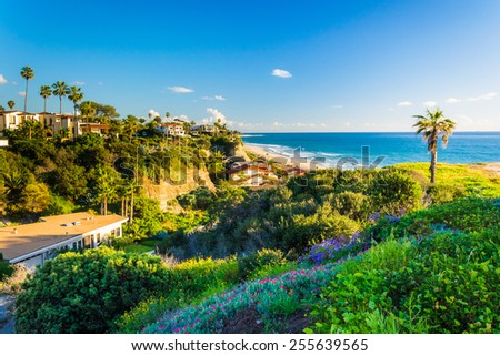 Flowers on a hill and view of houses and the Pacific Ocean in San Clemente, California.