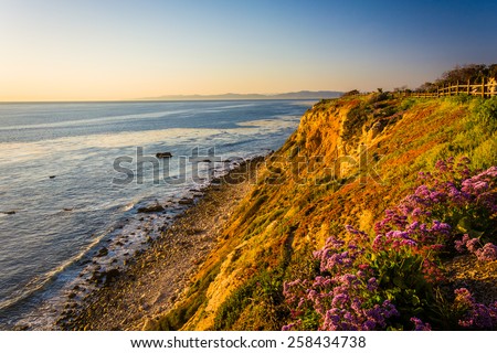 Flowers and view of the Pacific Ocean from a cliff at Point Vicente Interpretive Center, in Ranchos Palos Verdes, California.