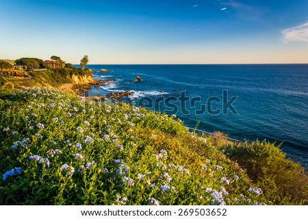 Flowers and view of the Pacific Ocean from cliffs in Corona del Mar, California.