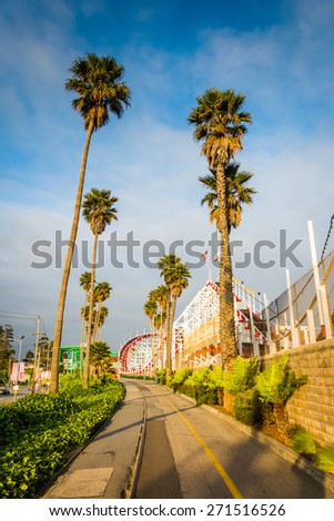 Palm trees and rides along a walkway in Santa Cruz, California.