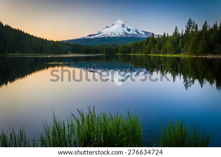 Grasses and Mount Hood reflecting in Trillium Lake at sunset, in Mount Hood National Forest, Oregon.