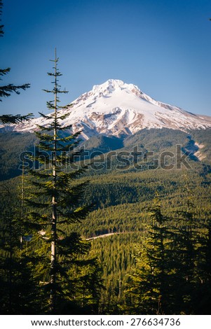 Pine trees and view of Mount Hood from the Tom, Dick, and Harry Mountain Trail in Mount Hood National Forest, Oregon.