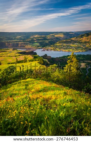 View of the Columbia River from Tom McCall Nature Preserve, Columbia River Gorge, Oregon.