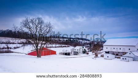 Winter view of barns and a tree on a farm in rural York County, Pennsylvania.