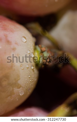 Close up of grapes with water droplets and damaged skin.