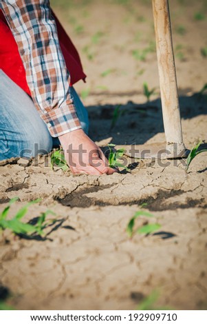 Manual labor in agriculture