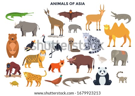 Bundle of funny wild animals and birds of Asia. Collection of exotic fauna of Asian continent. Set of cute cartoon characters isolated on white background. Colorful vector illustration in flat style.