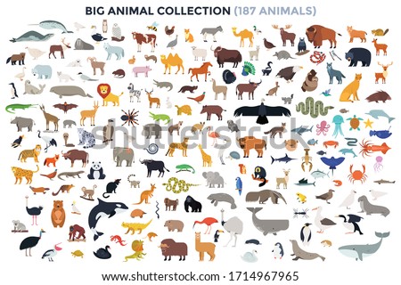 Big bundle of funny domestic and wild animals, marine mammals, reptiles, birds and fish. Collection of cute cartoon characters isolated on white background. Colorful vector illustration in flat style.