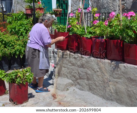 MOLYVOS, LESVOS, GREECE - JUNE 16, 2014: Old greek lady painting plastic plant pots.