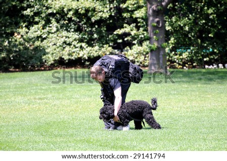 WASHINGTON - April 24: Policeman catches President Obama\'s First dog Bo, who had escaped and ran towards the south end of the White House South lawn in Washington DC on April 24, 2009.