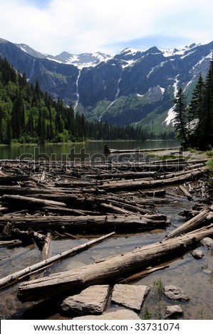 Tree trunks in the water and on shores of Avalanche Lake in the Glacier National Park in Montana, USA, with waterfalls formed by melting snow in the background.