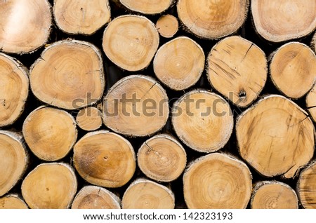 Background style picture of many wood  that is section