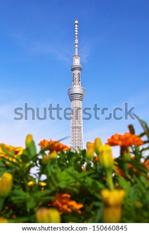 TOKYO - JUNE 30: View of Tokyo Sky tree with marigold flowers on June 30, 2012 in Tokyo, Japan. It is the second tallest structure in the world at a height of 634 meters.