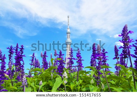 TOKYO - JUNE 30: View of Tokyo Sky tree with salvia flowers on June 30, 2012 in Tokyo, Japan. It is the second tallest structure in the world at a height of 634 meters.