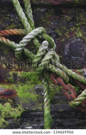 Covered in seaweed knot. Abandoned old boat detail. Covered in green sea weed knot.