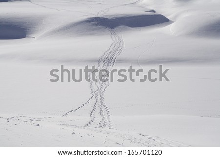 Snow shoe tracks in the snow at Grimsel Pass (2165 m), Wallis, Switzerland.