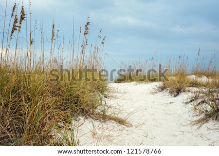 Sandy Path leads through the hilly dunes to beautiful beach in Florida. Surrounding the path are local plants Ã?Â¢?? sea oats that help to stabilize and grown beach sand dunes.